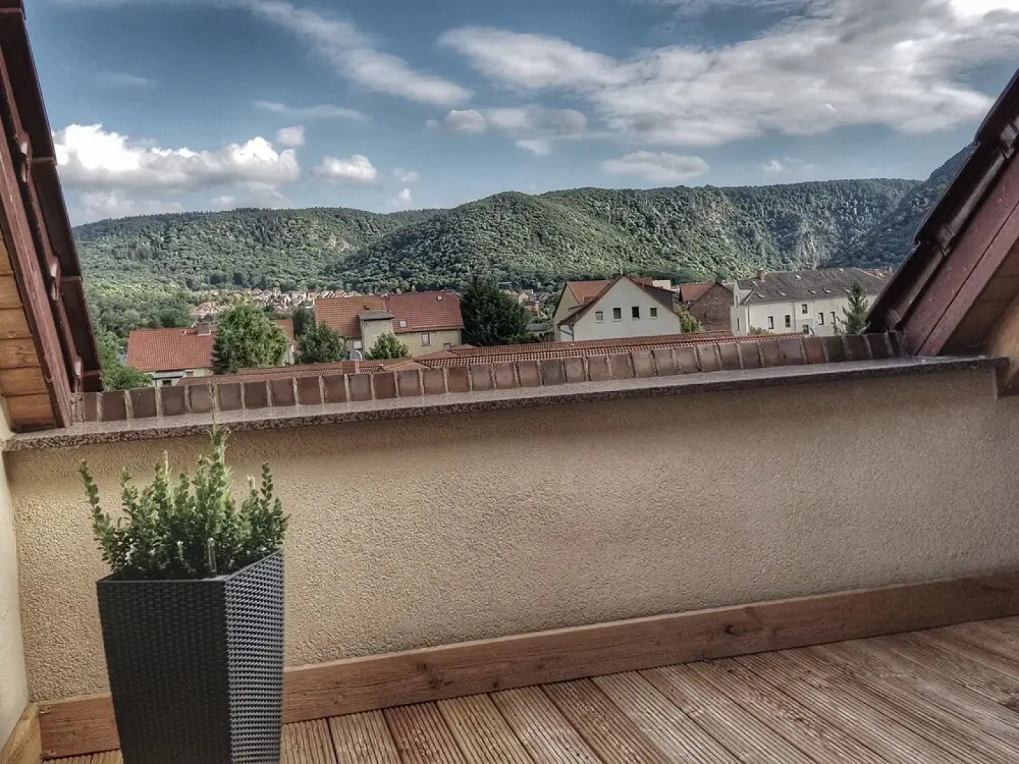 Large Apartment in the Harz With Private Entrance, Fireplace, Garden and Roof Terrace