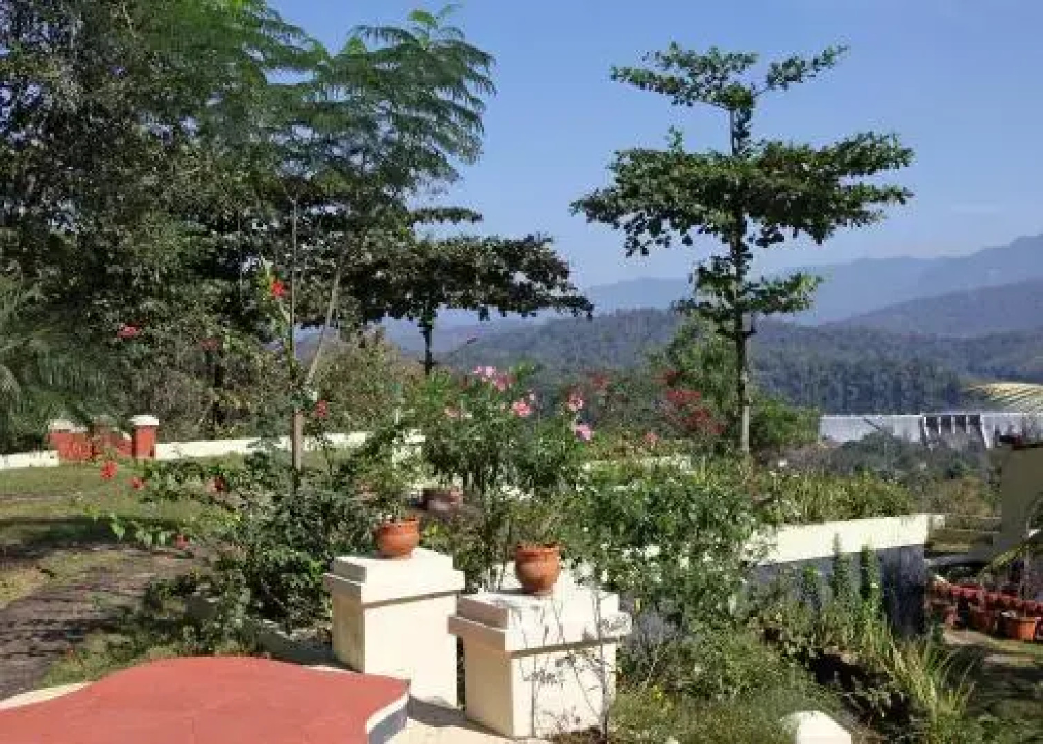 Bio Veda Ayurvedic Hill resort