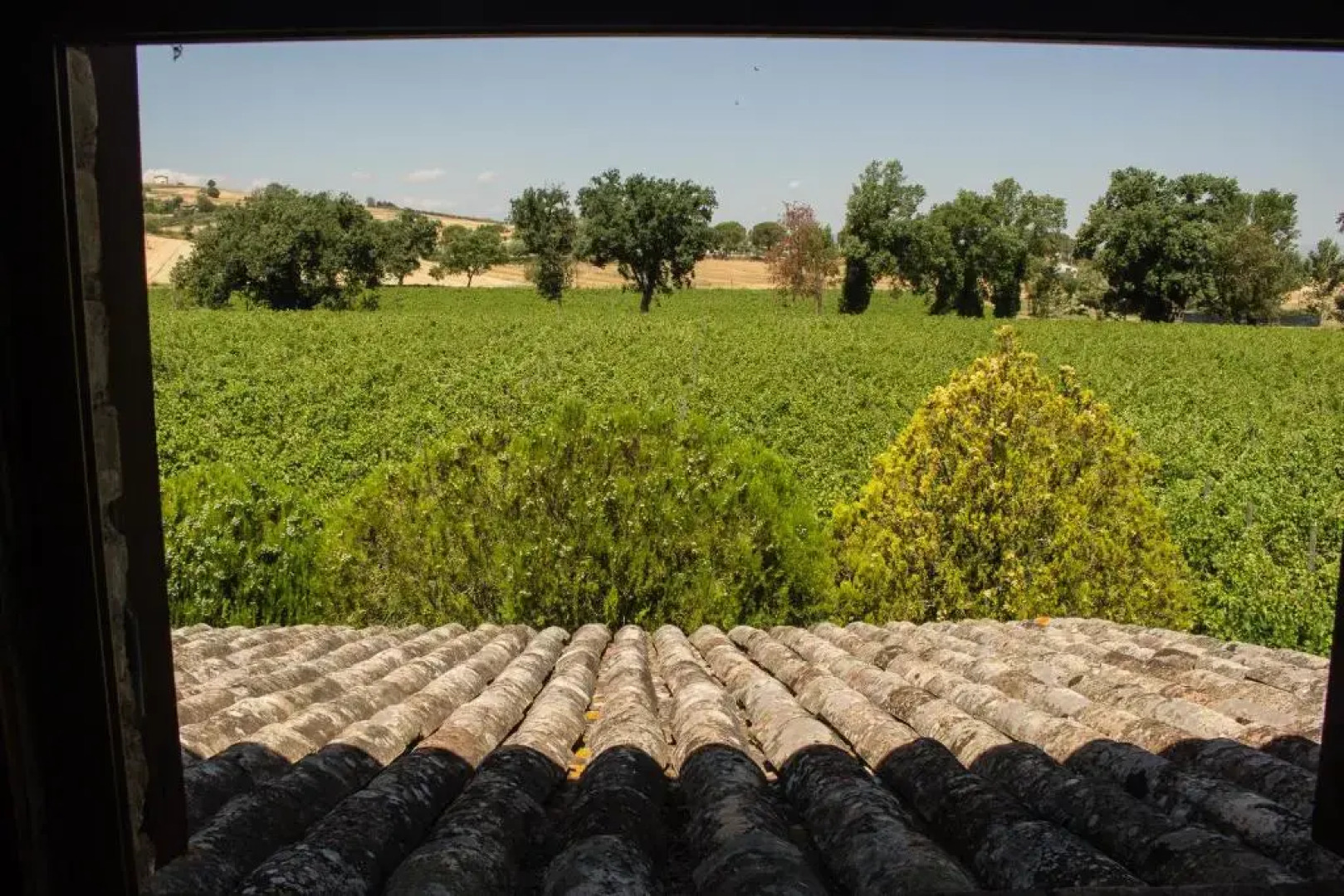 Country House Carmelita