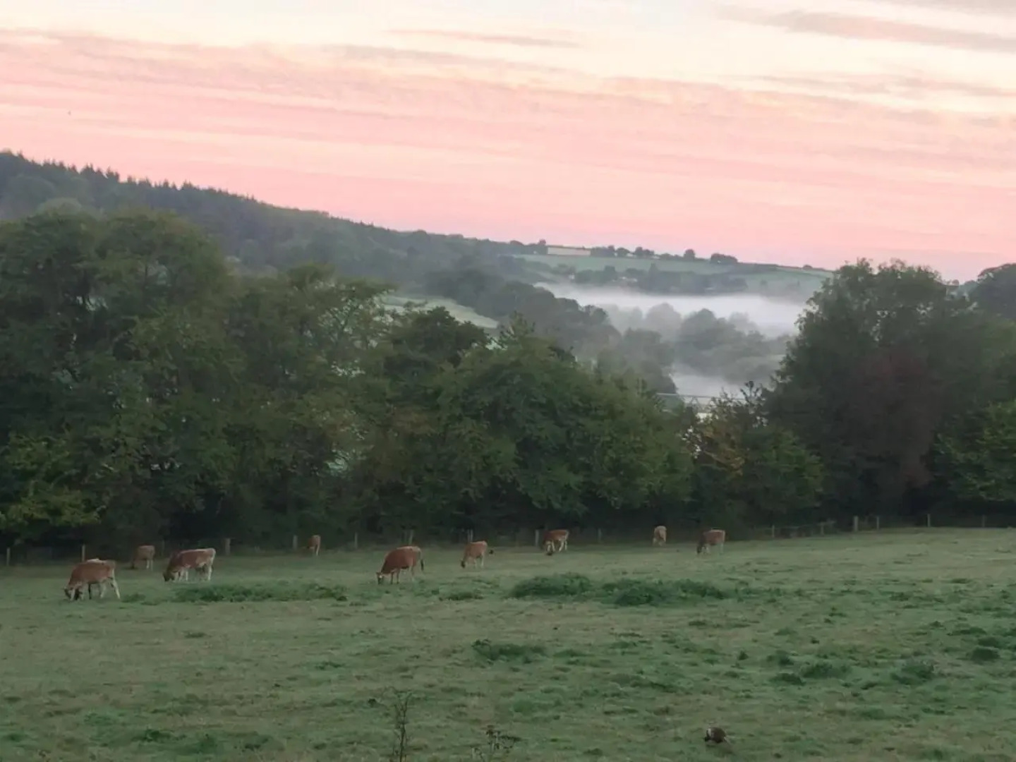 Worralls Grove Guest Farm House