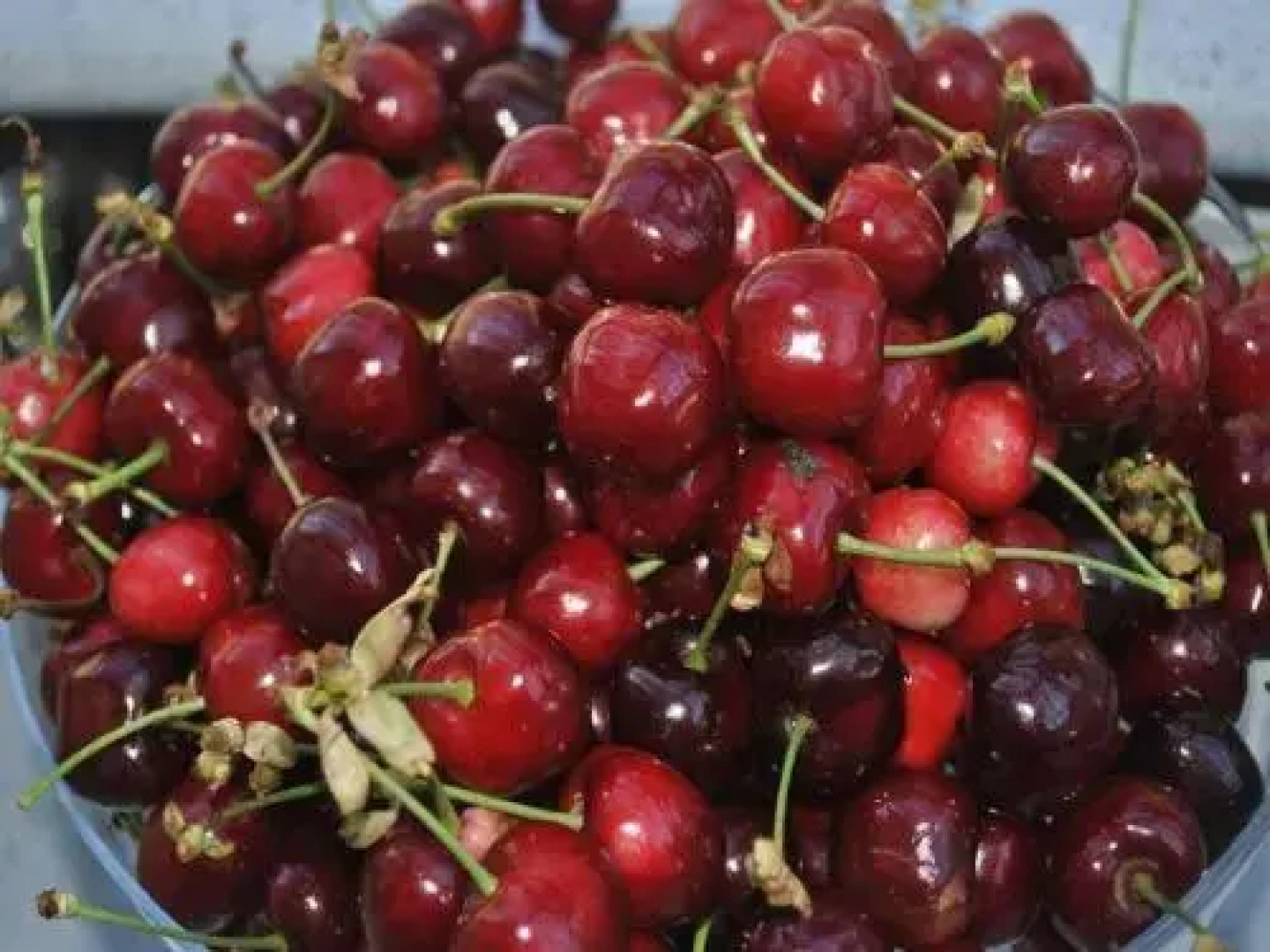 Agriturismo LInfinito