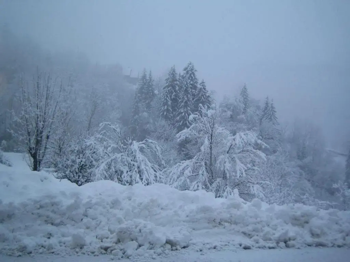 La Chouette à lheure du Pinson