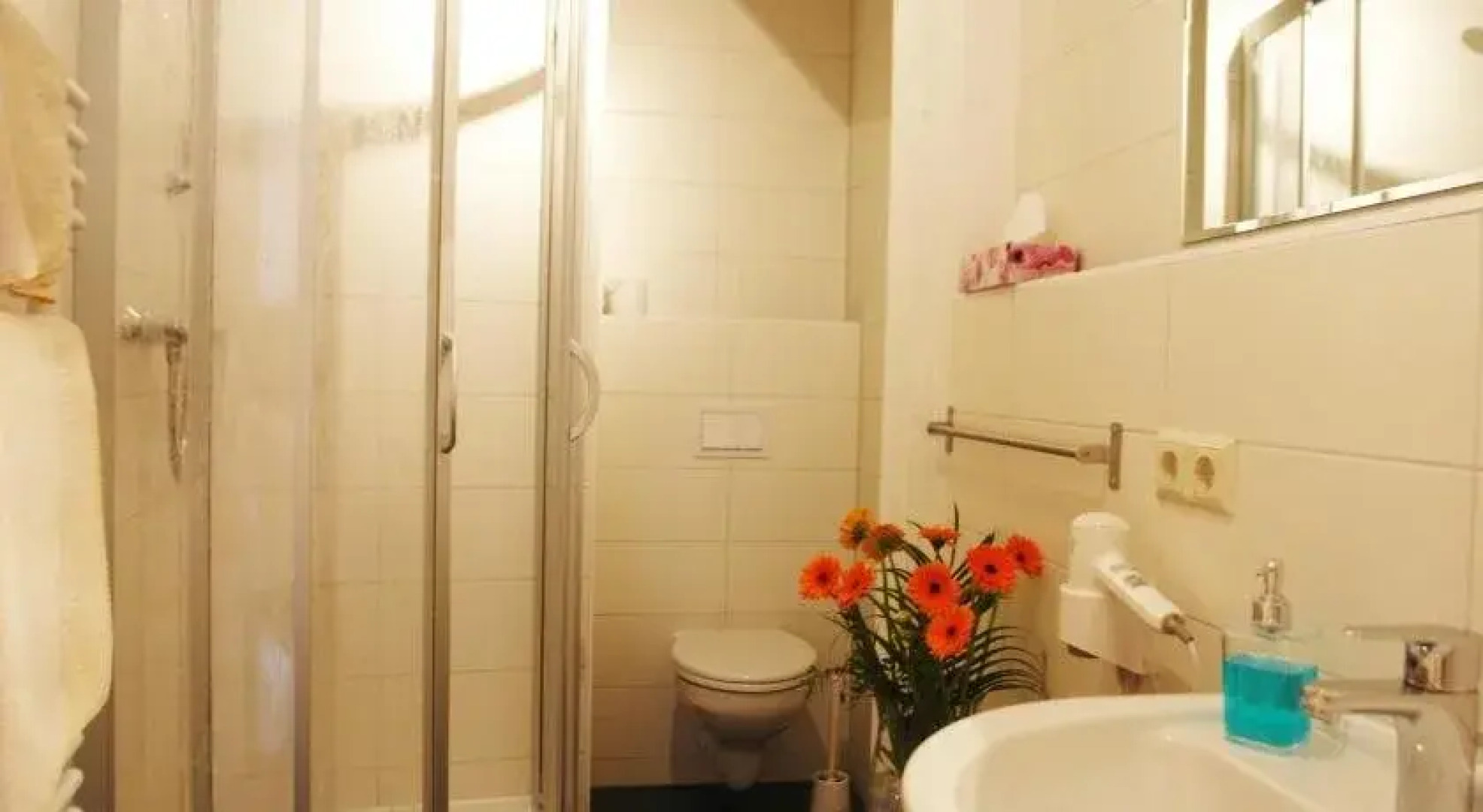 Hotel-Pension Grüne Linde