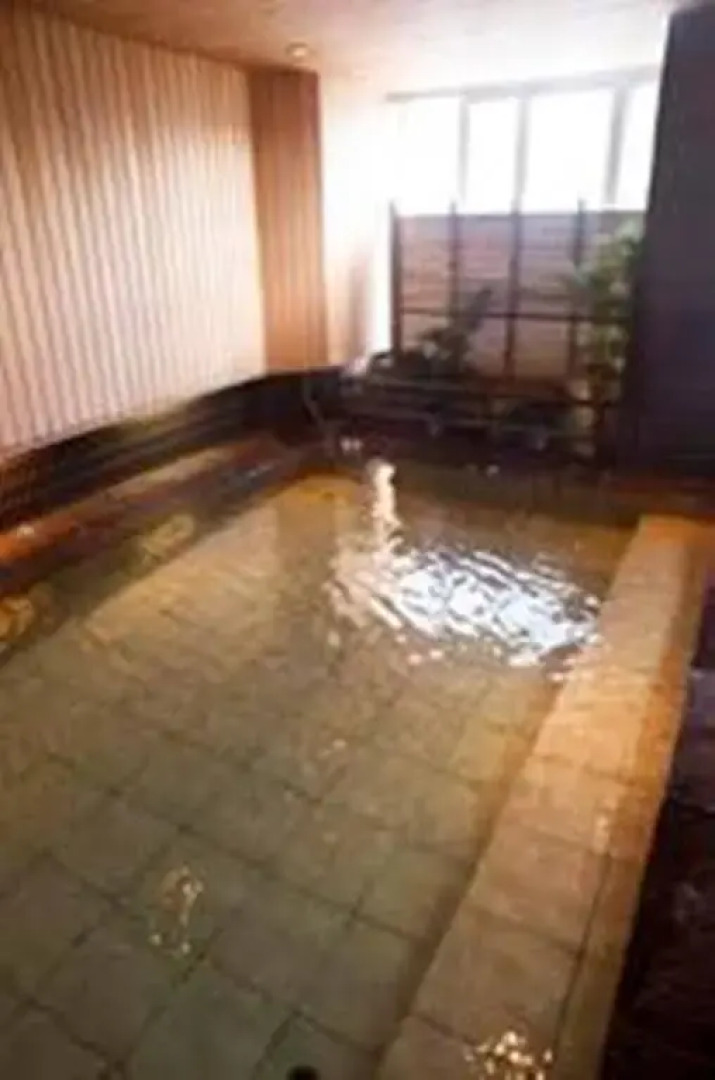 Spa Hotel SOLE Susukino