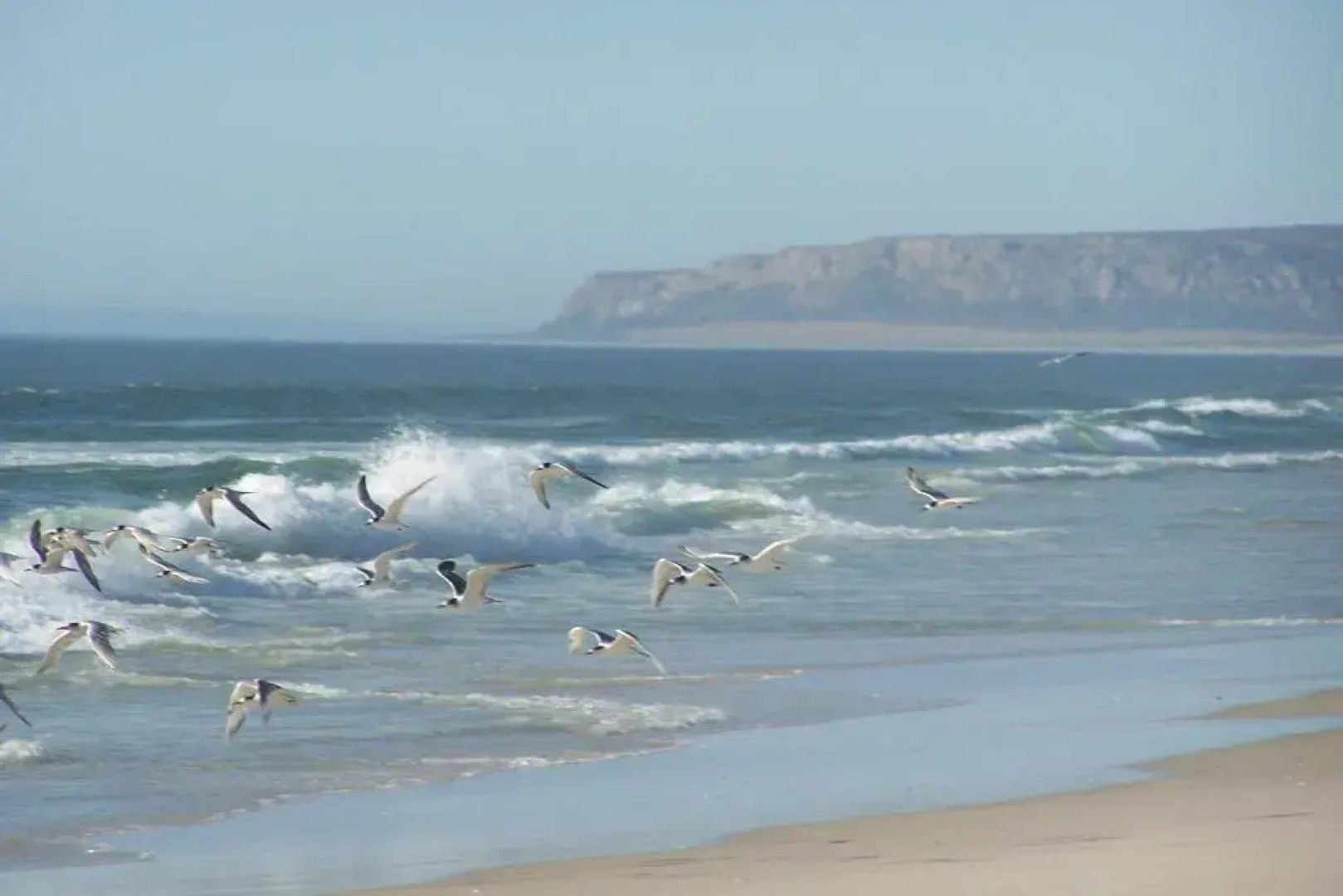Draaihoek Lodge & Restaurant