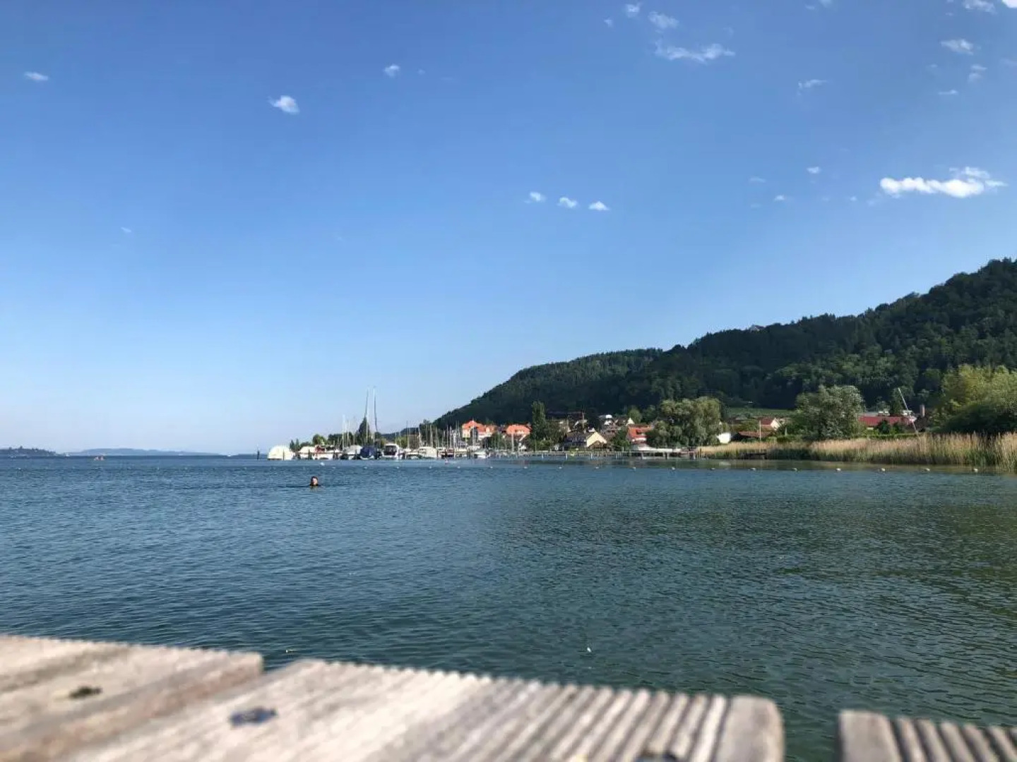 Ferienwohnung Haid Bodensee, Umgebung Bodman-Ludwigshafen, Radolfzell, Überlingen, Luxus FeWo Haid