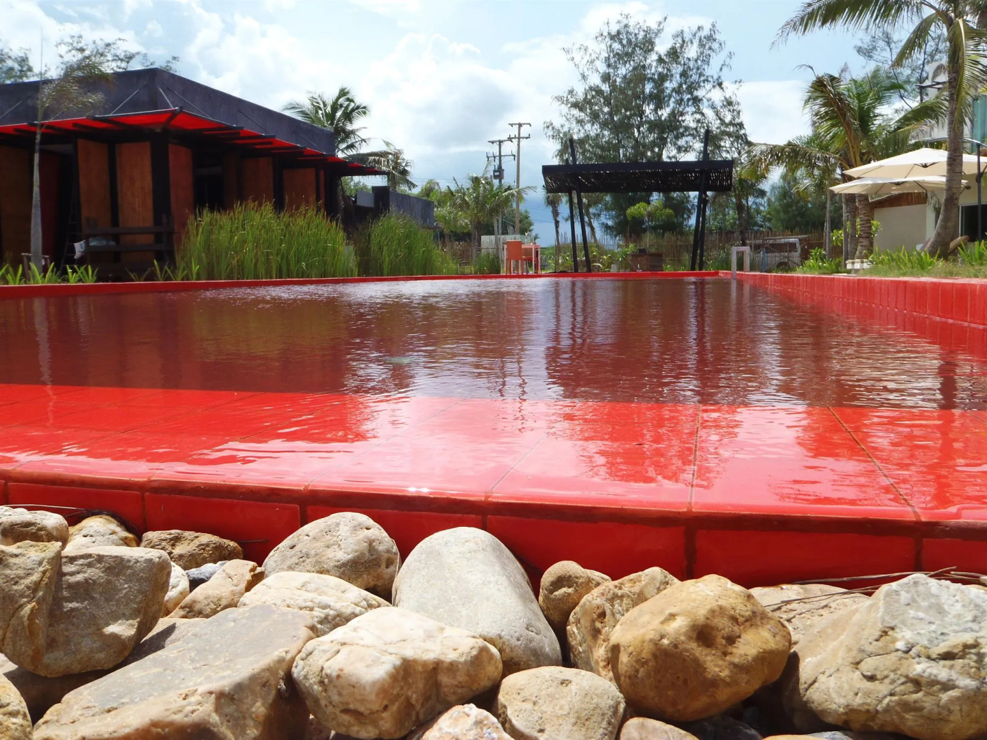 Red Z The Ocean