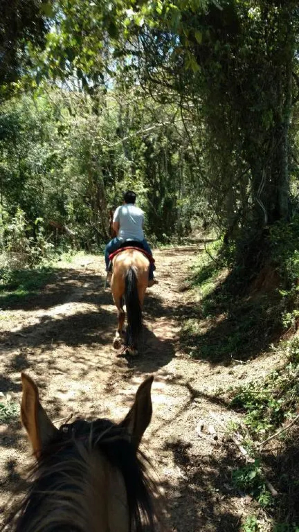 Casa de Montanha na Região de Monte Verde
