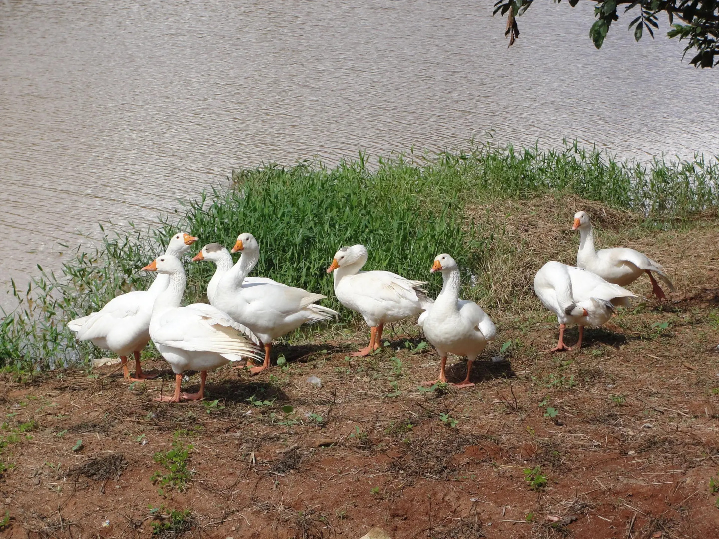 Hotel Fazenda Pirâmides