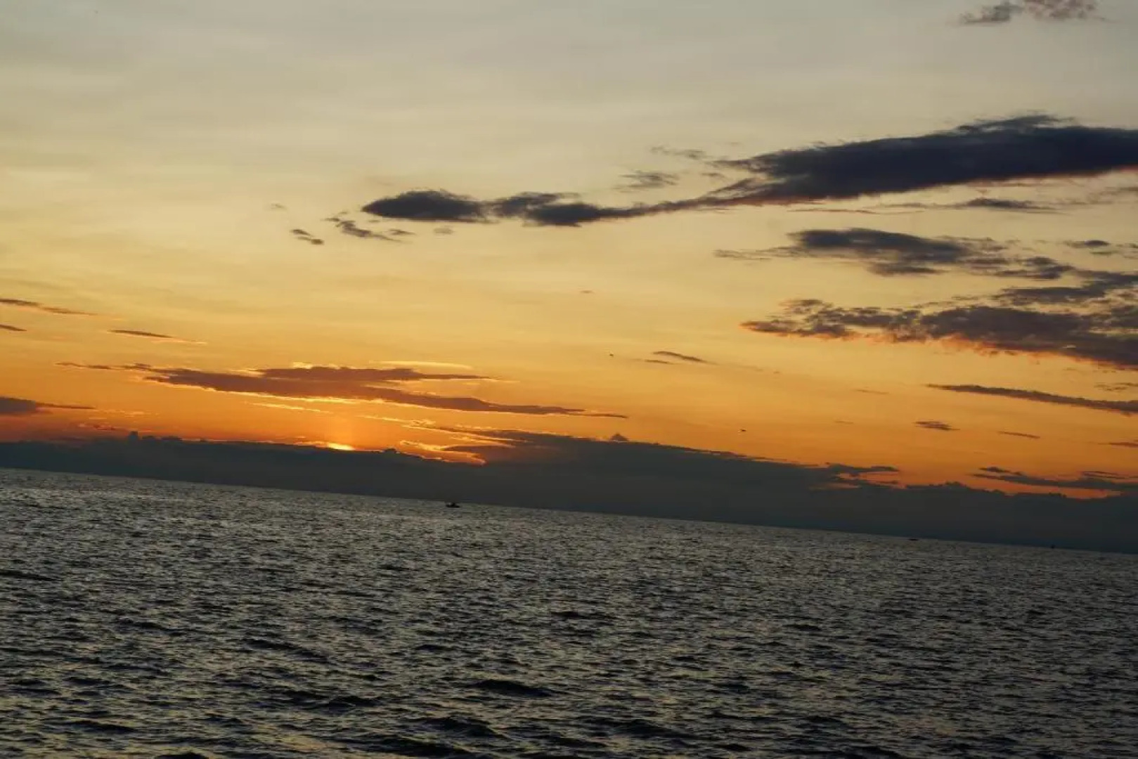 Funtana Appartements an der 1 Reihe vom Meer