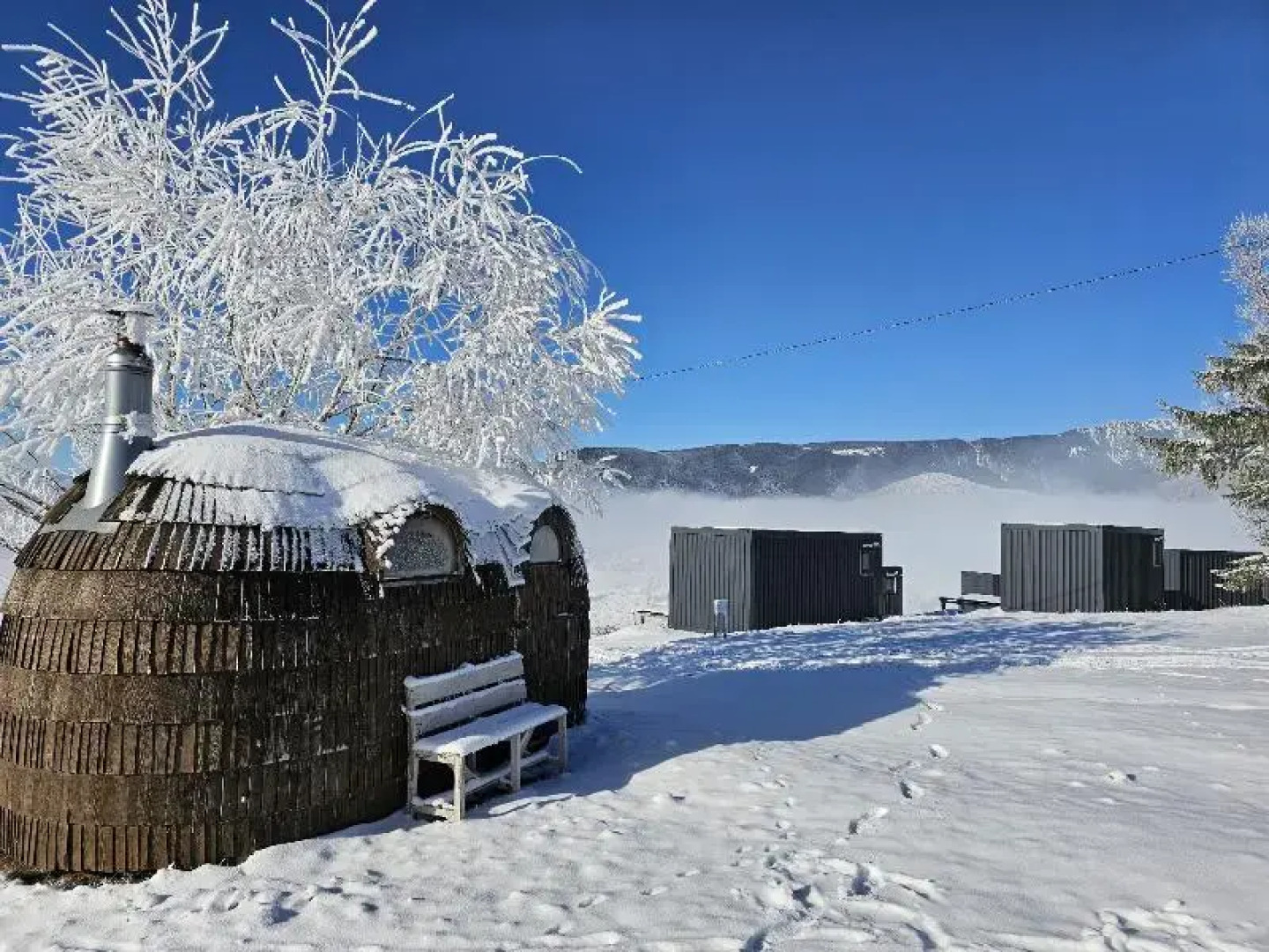 Ursa Mica Glamping Resort