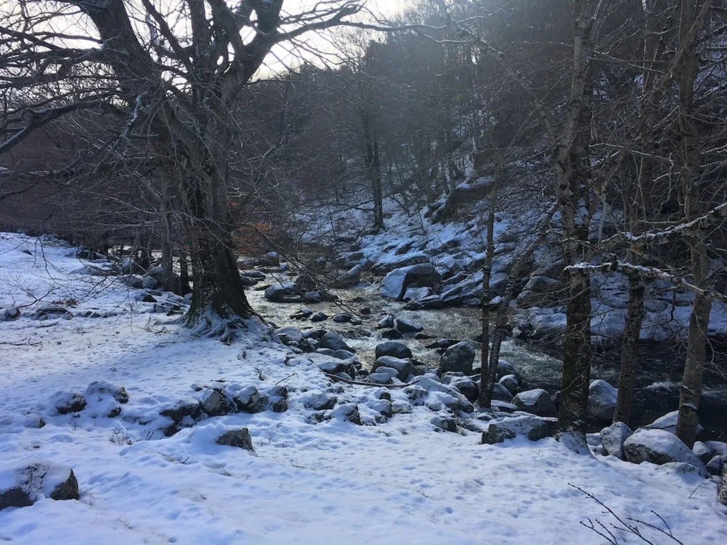 Le Relais d'Etape de Dourbies