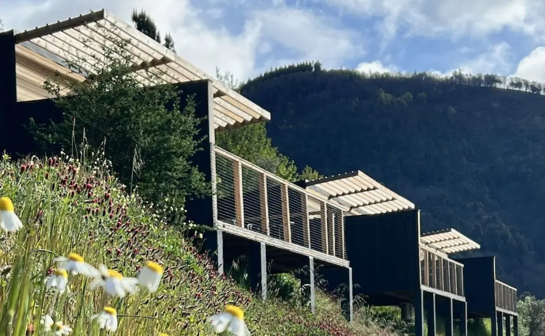 Casa Raposa Lodges