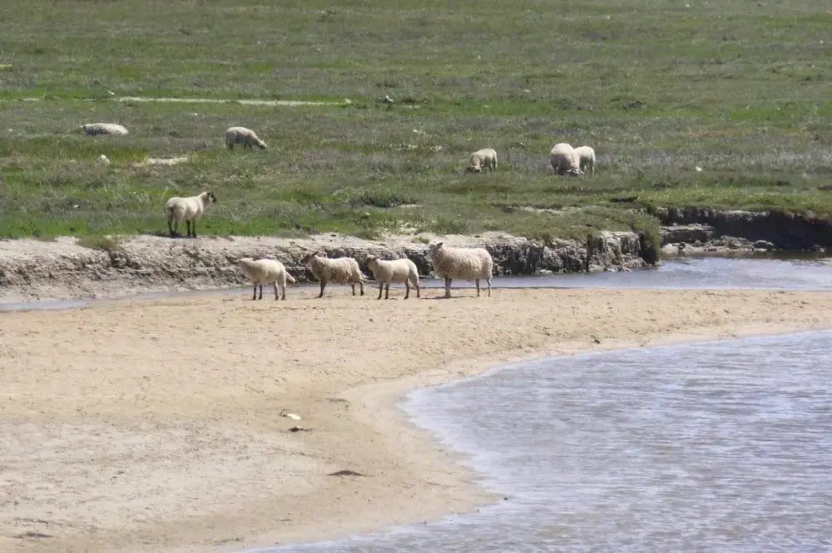 Holiday Home St- Martin-de-Bréhal - NMD04102f-F