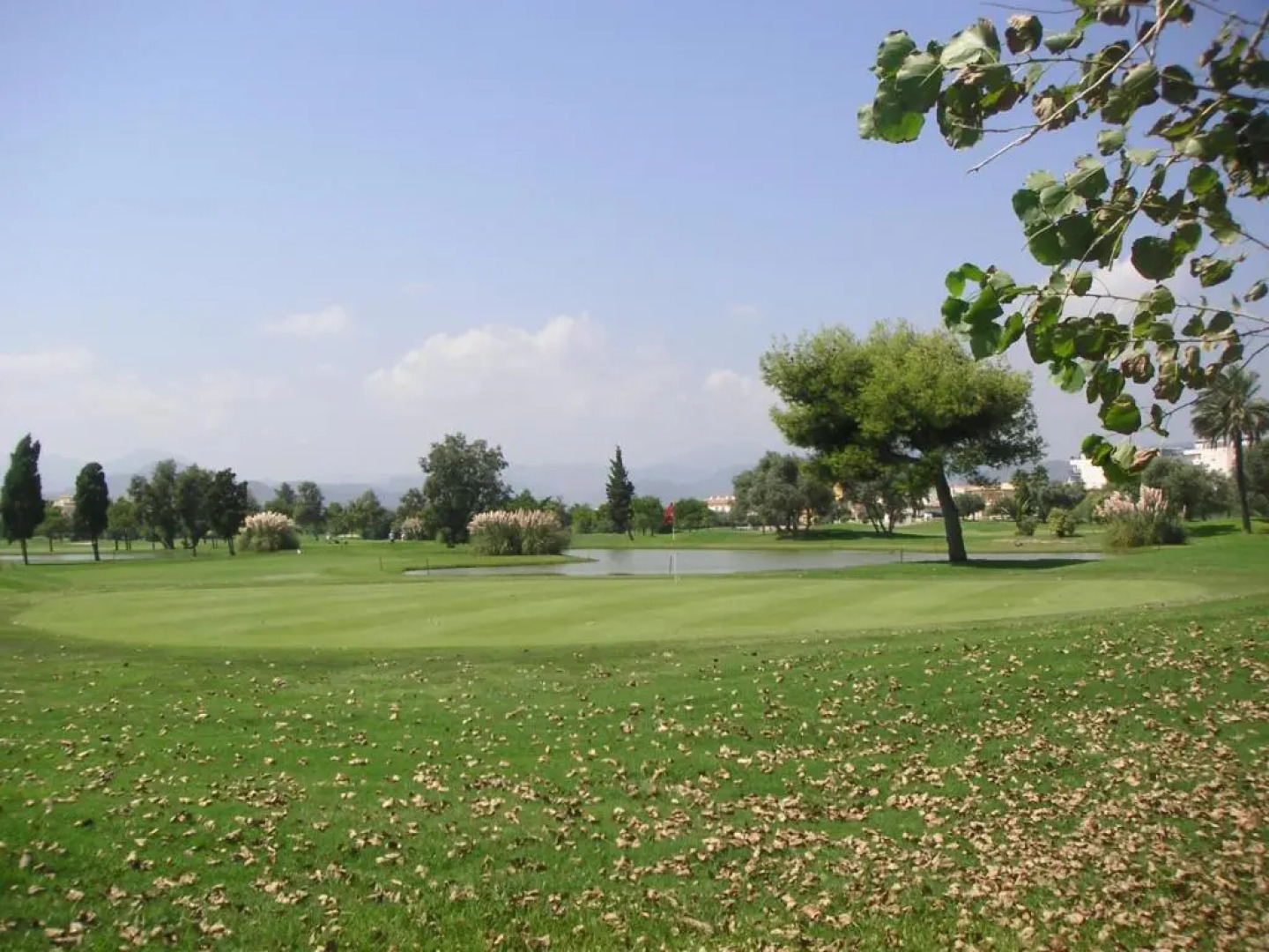 Frente al Mar - Velazquez