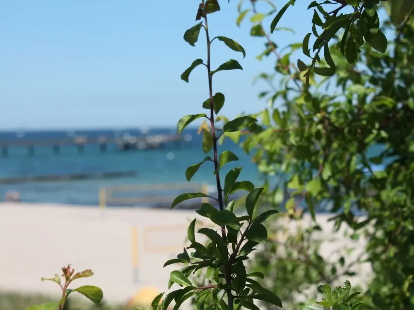 Sunlit Apartment with Garden in Steffenshagen