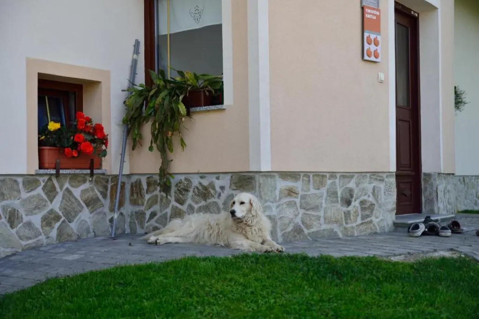 Eco Tourist Farm Ravnjak