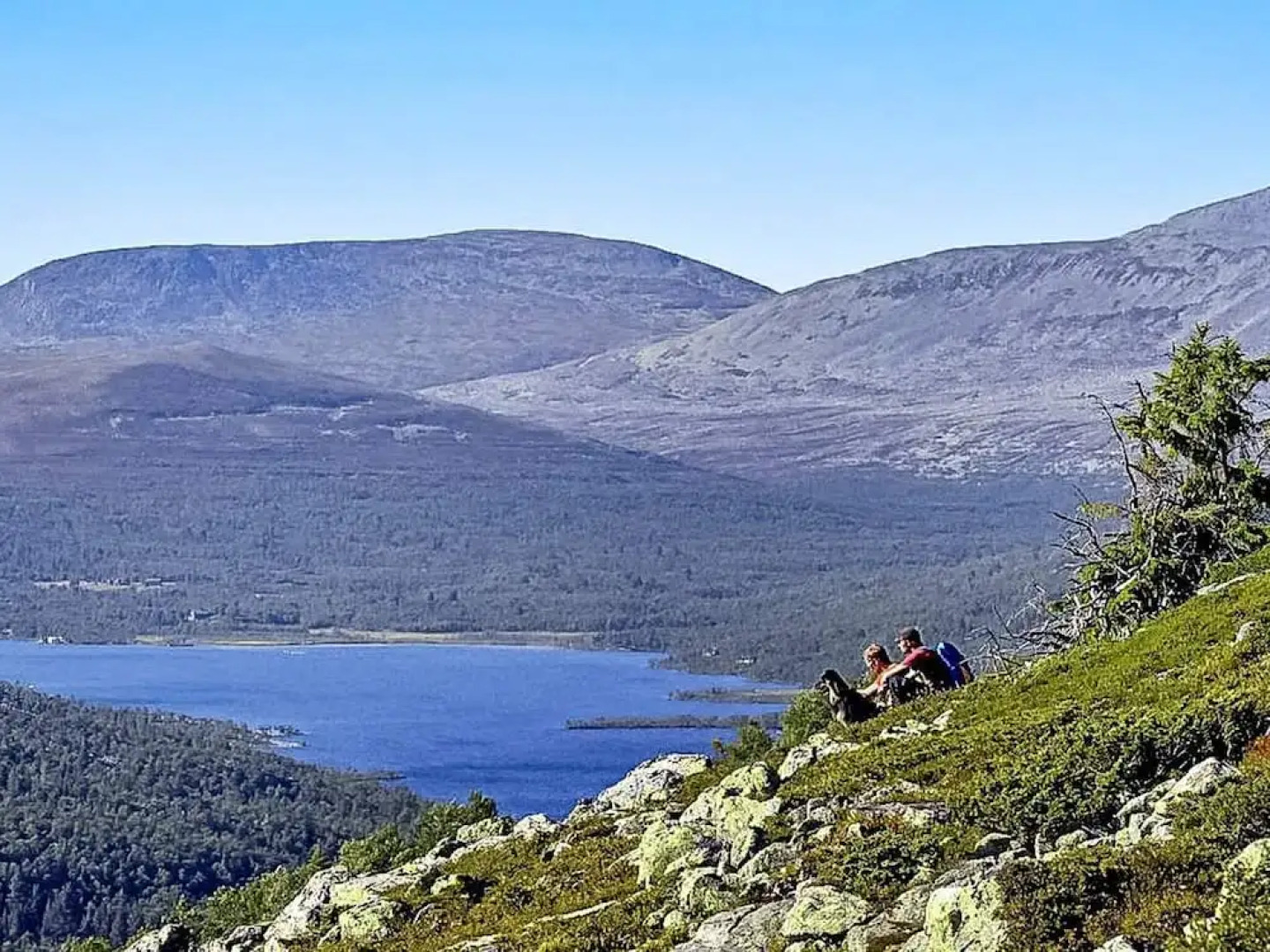 12 Person Holiday Home in Sälen