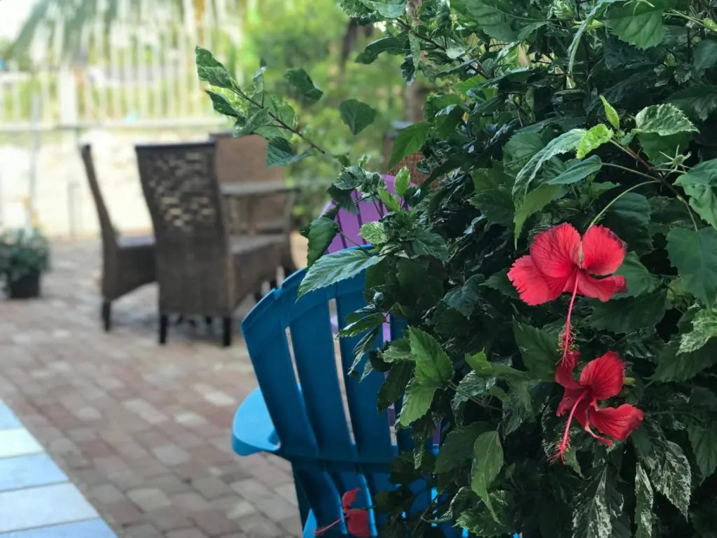 Jackuri Casa Hospedaje