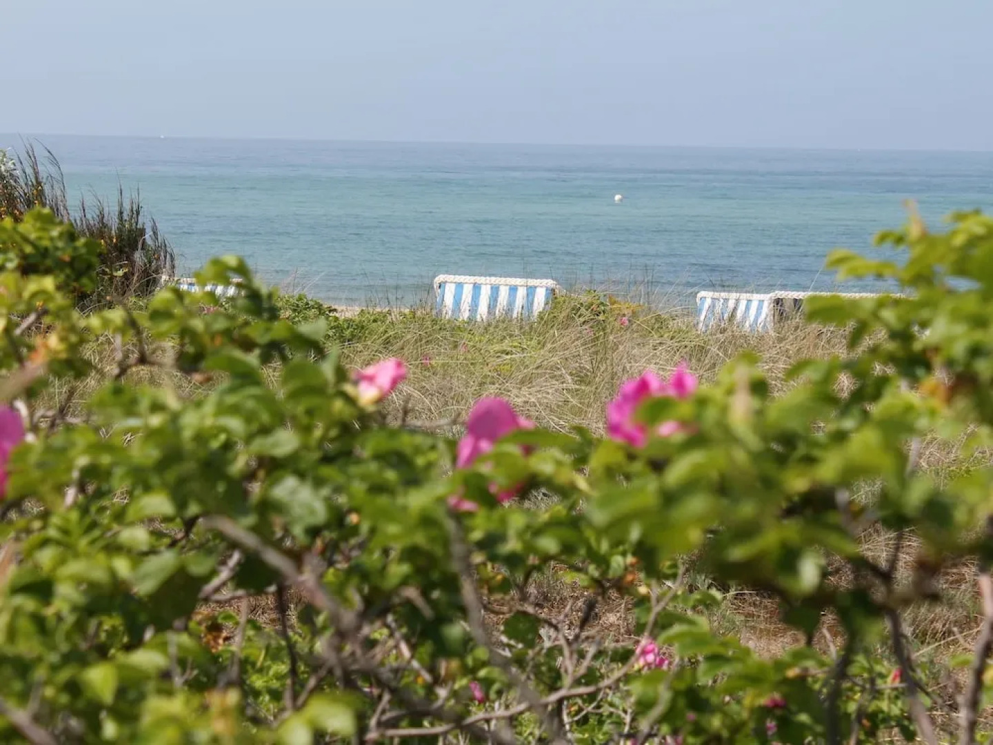 Cozy Apartment in Wischuer With Sauna
