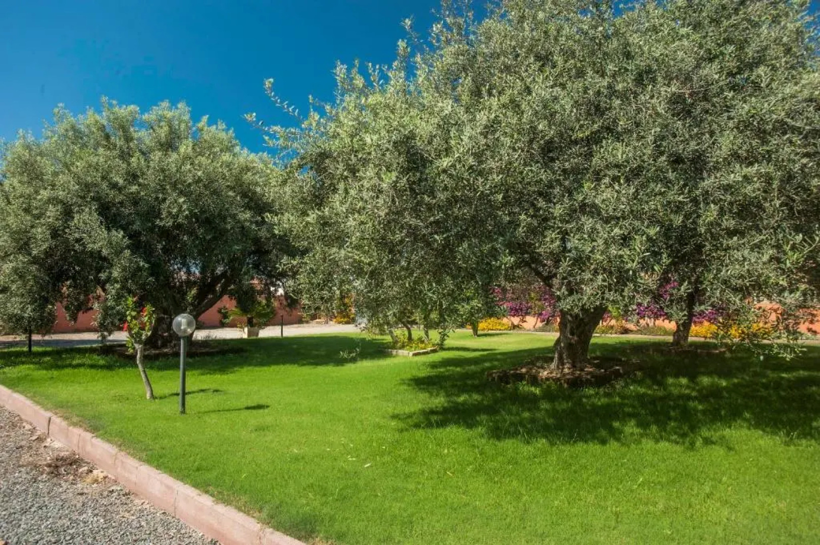 Villa erica appartamento Graziella