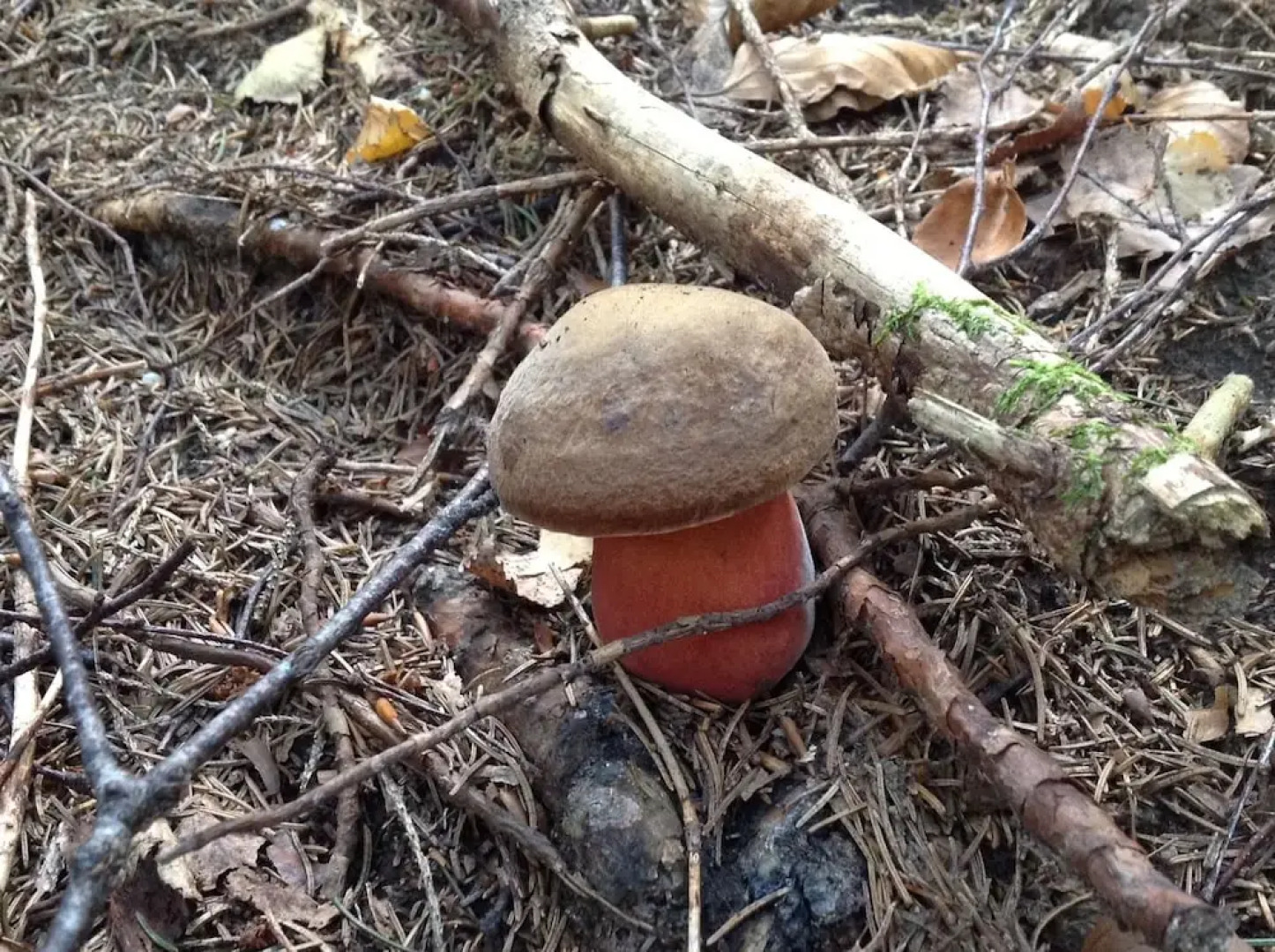Kraeuterhof-Ferienwohnung