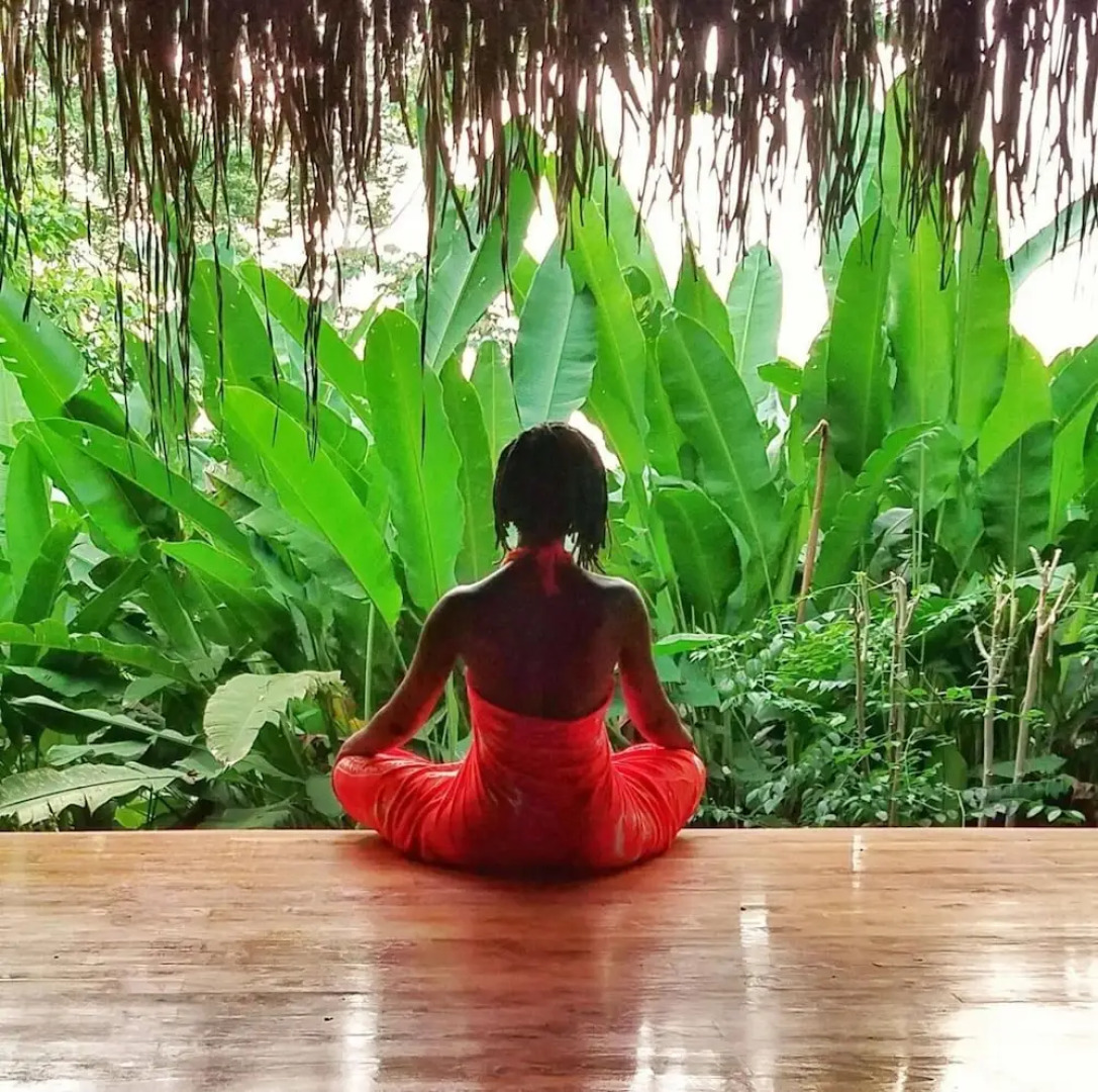 Jungle Lodge at Wild Sun Rescue