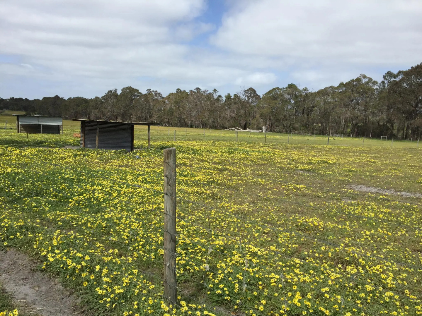 Kerriley Park Farmstay