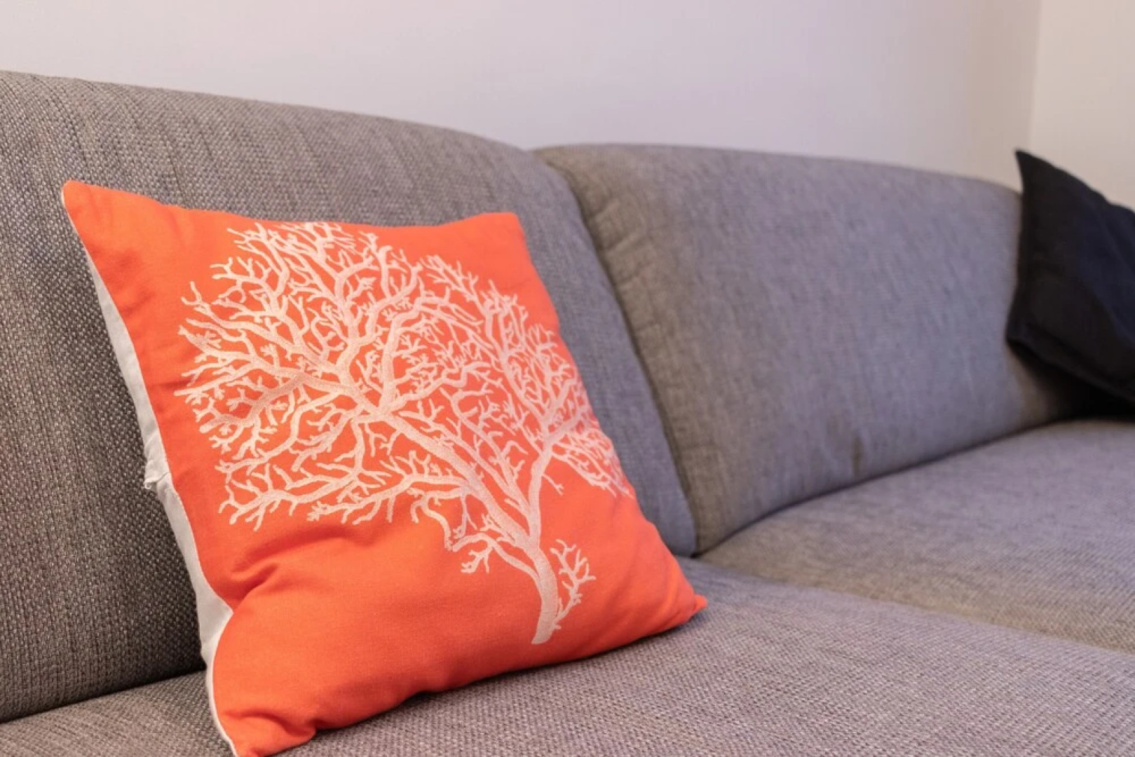 BAKIO ELGUERAY ENA with parking by Aston Rentals