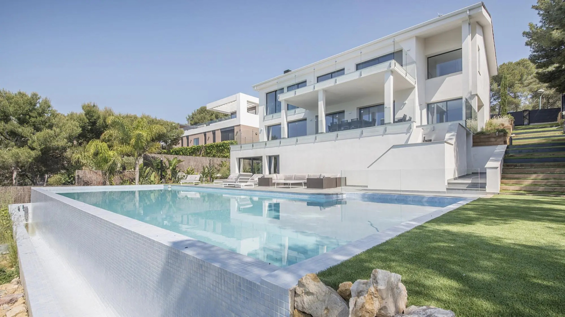 TH85-Limonium-9 in Tarragona