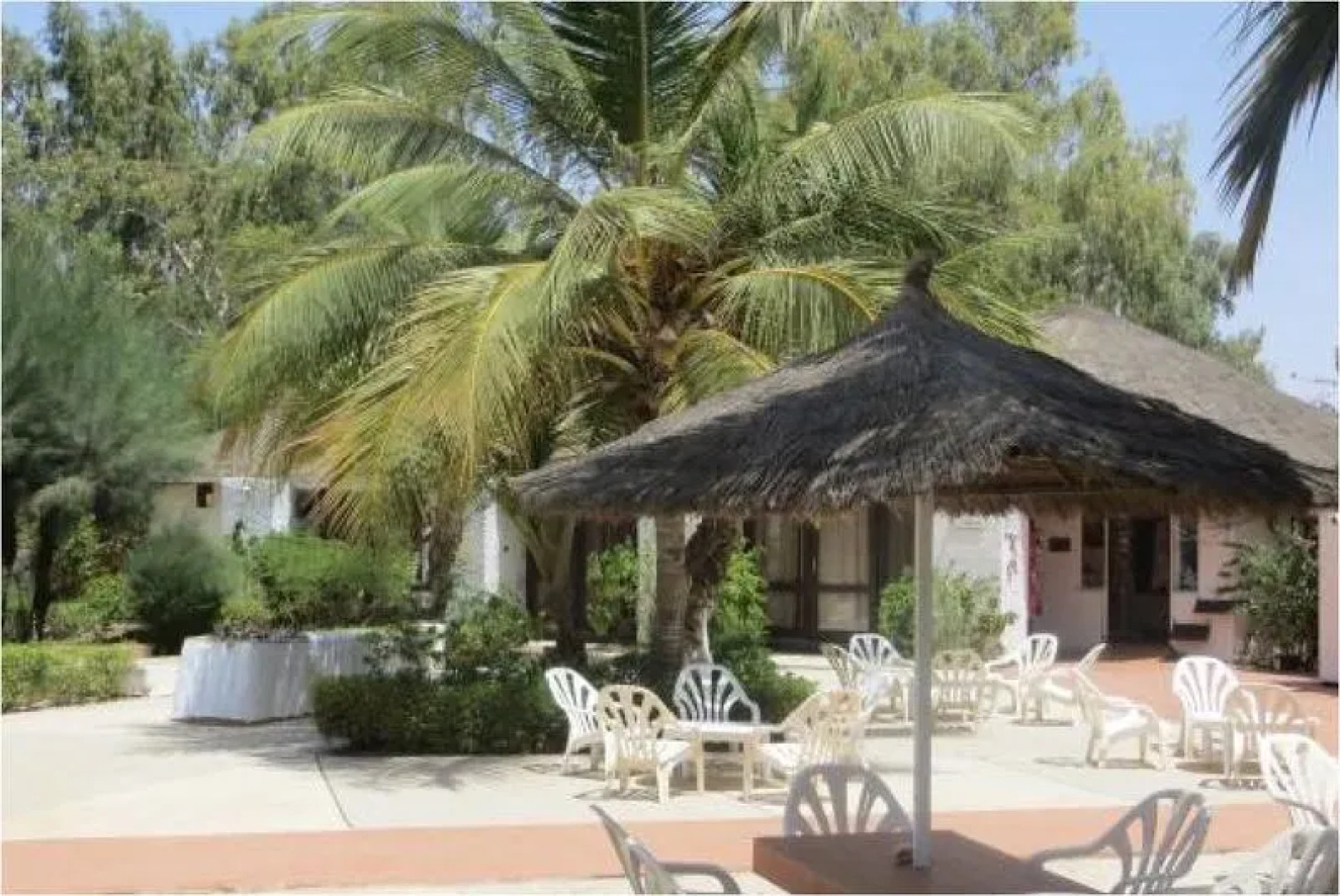 Le Pelican du Saloum