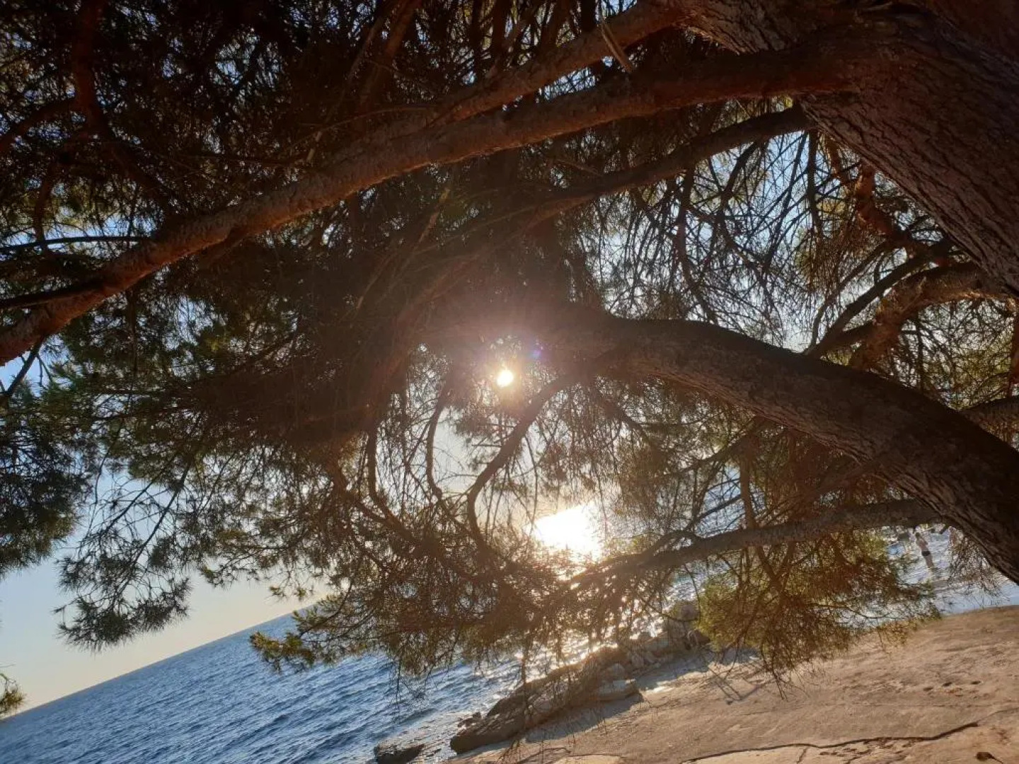 Youth Hostel Pinesta