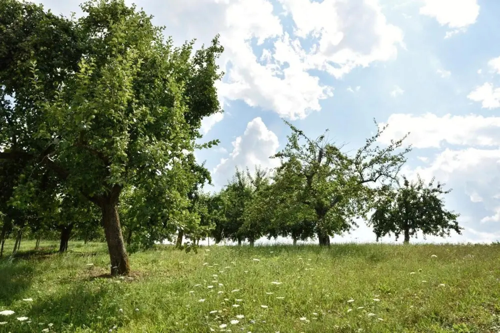 MANA LISA Boutiquehotel