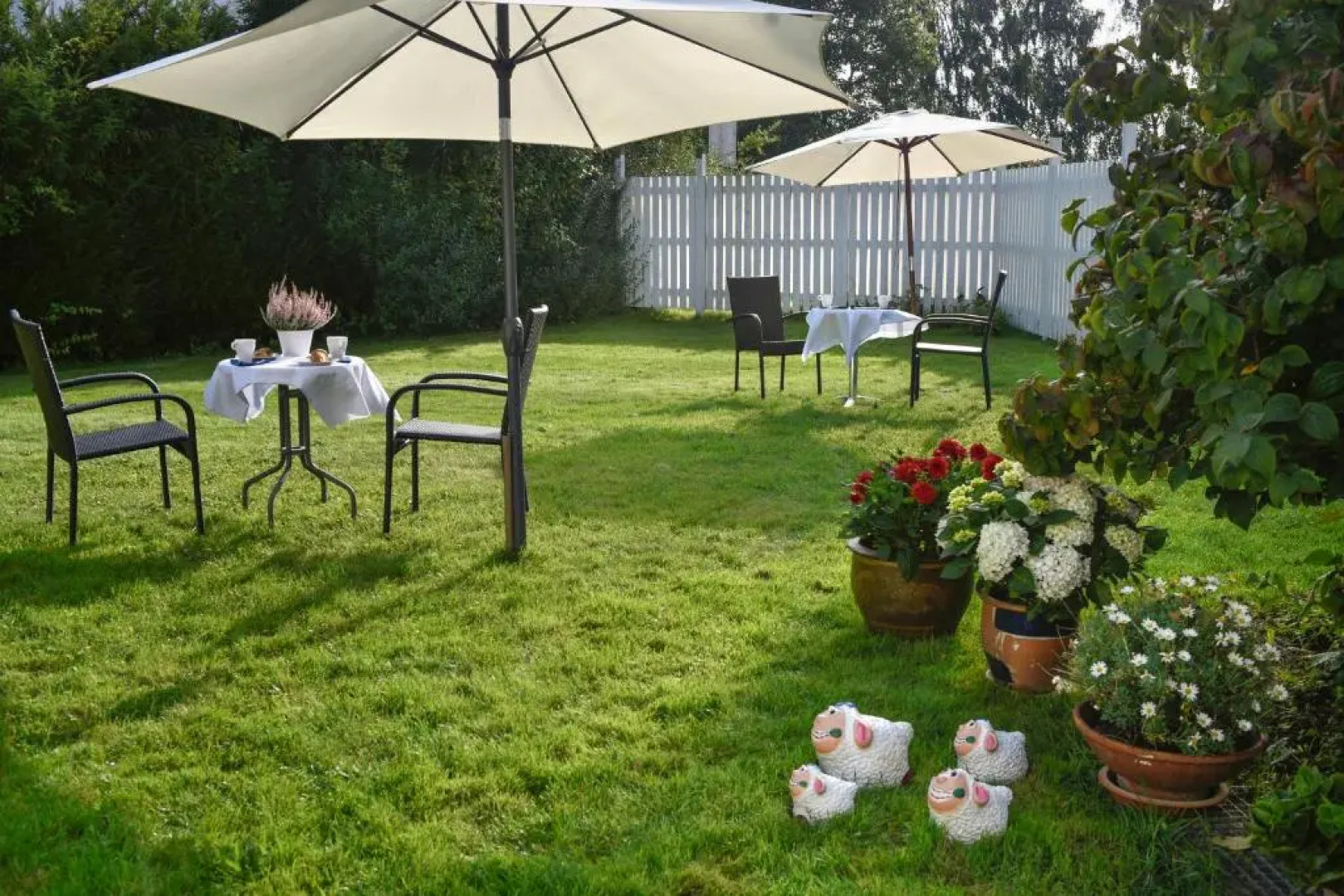 Dadas Bed & Breakfast