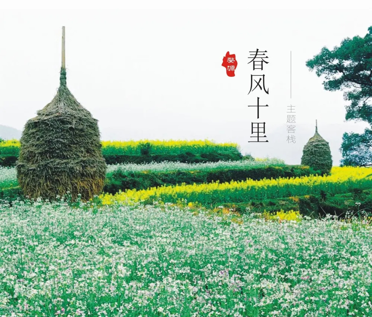 Spring Breeze Boutique Guest House