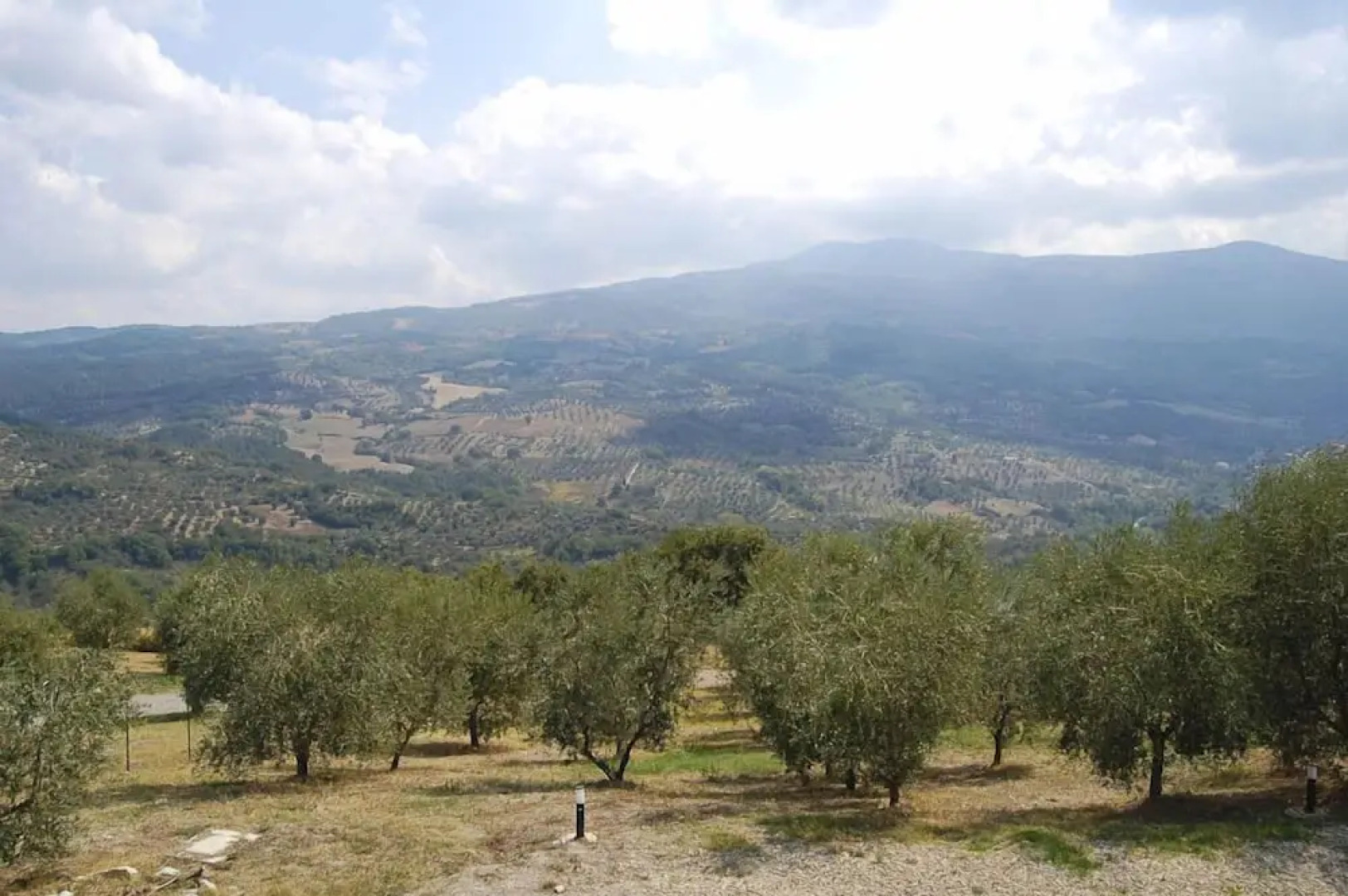 Verdidea - Poggio Aperto