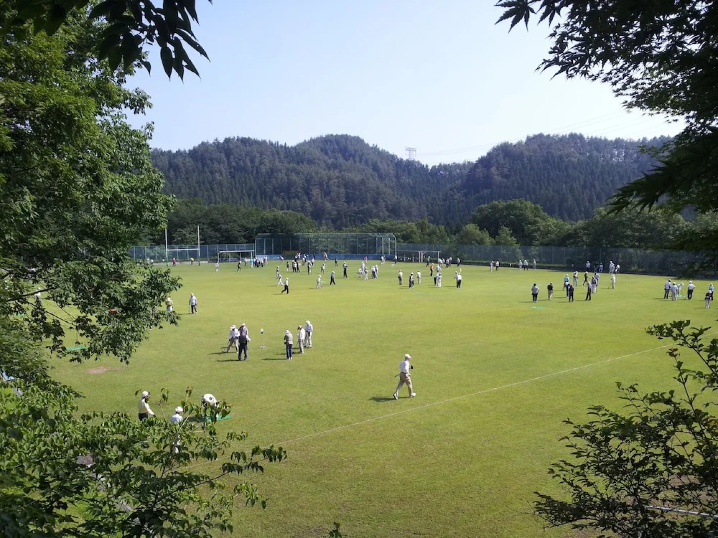 Forest Resort Conifer Iwabitsu