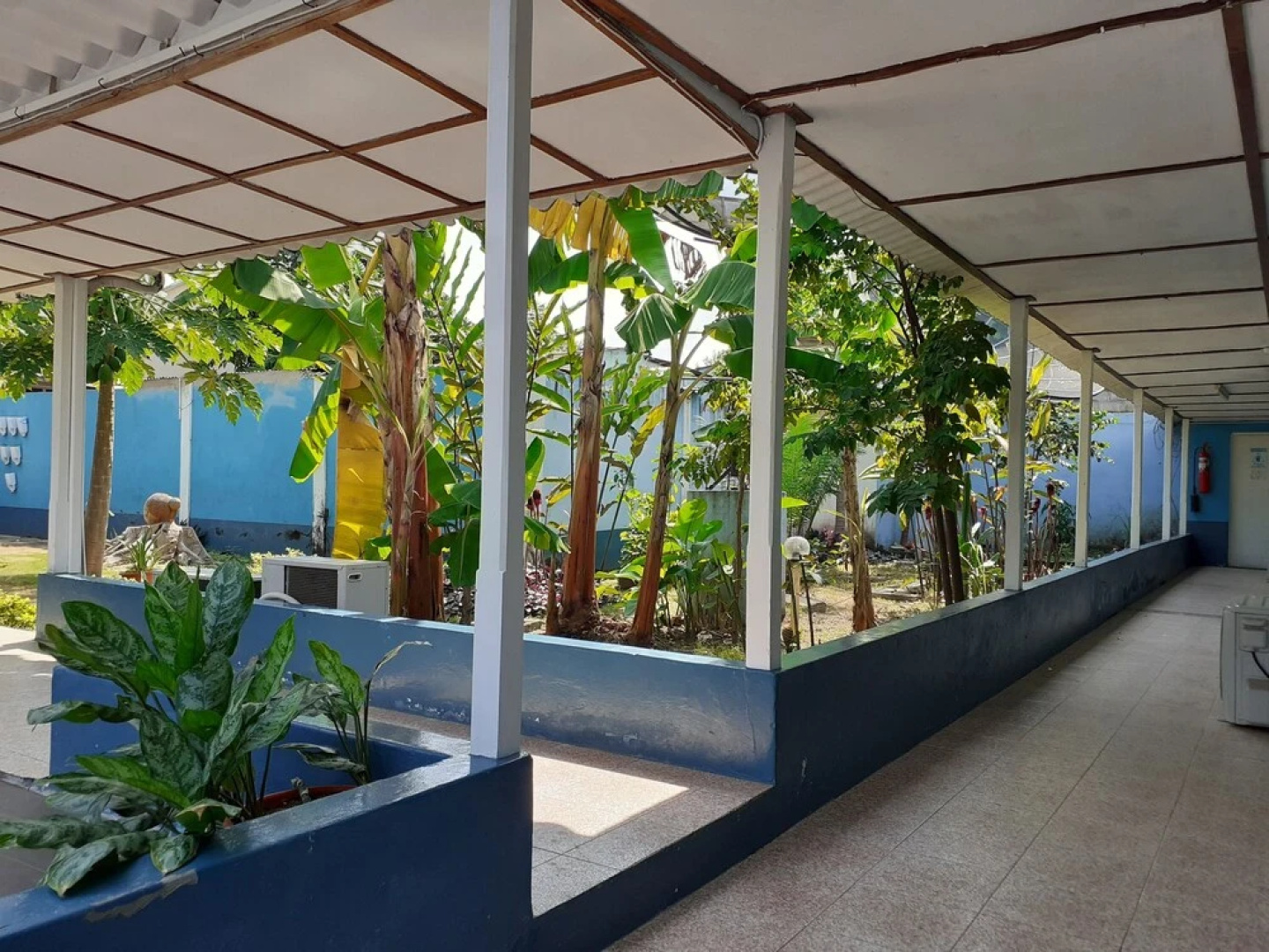 Somos Hotel Avenida