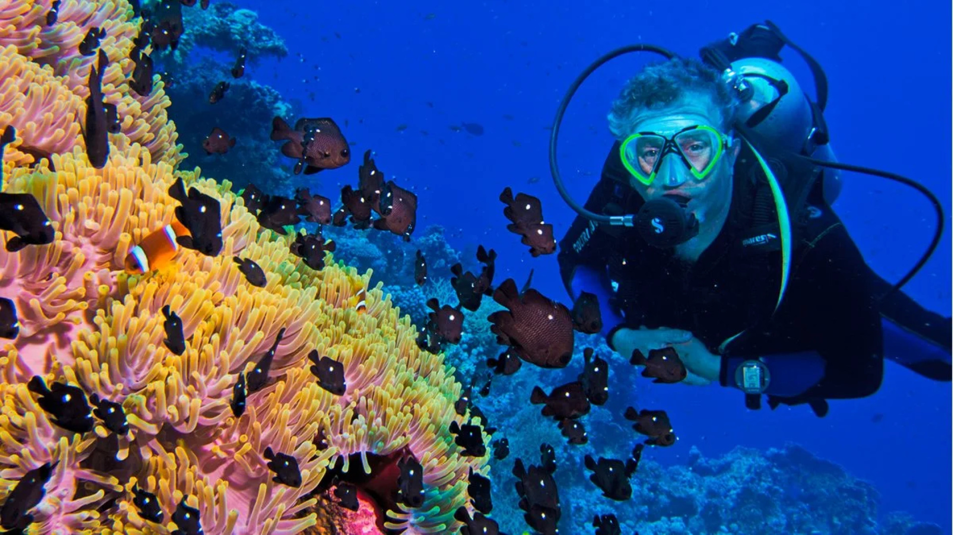 Isla Bonita Zanzibar Beach Resort