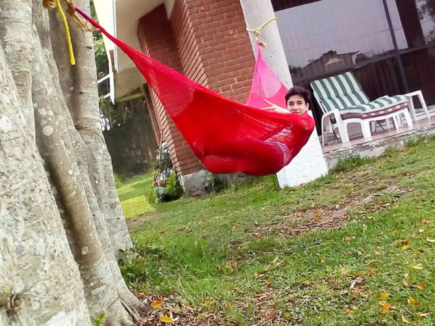 House of Ficus Banderilla,veracruz-mexico