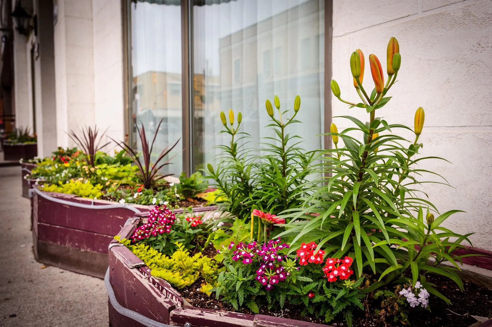 Peterborough Inn & Suites Hotel