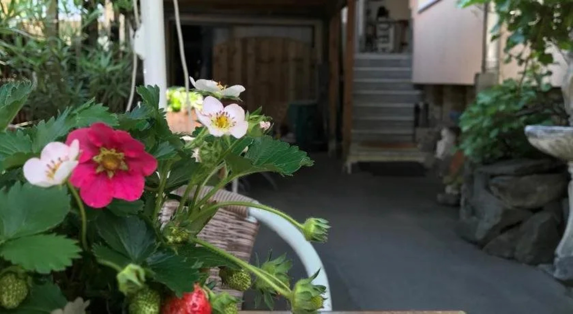 Hotel Restaurant Alt Laubach