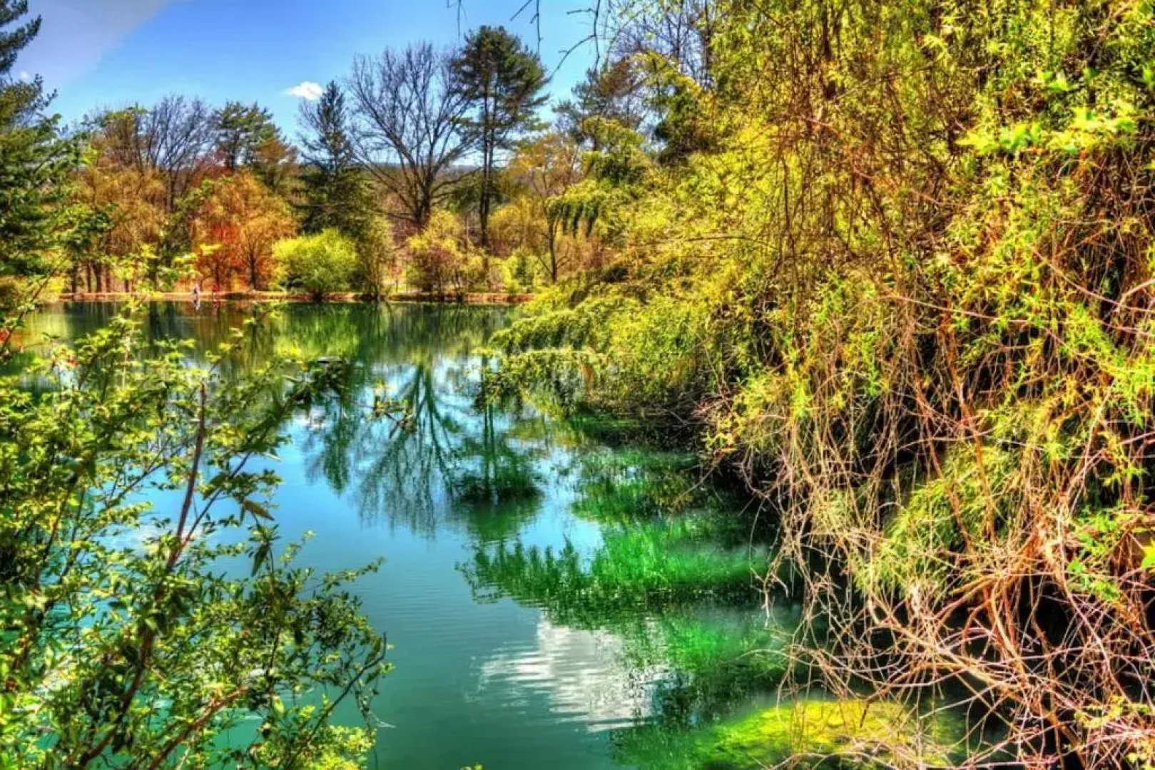 Motel 6 Fancy Gap VA