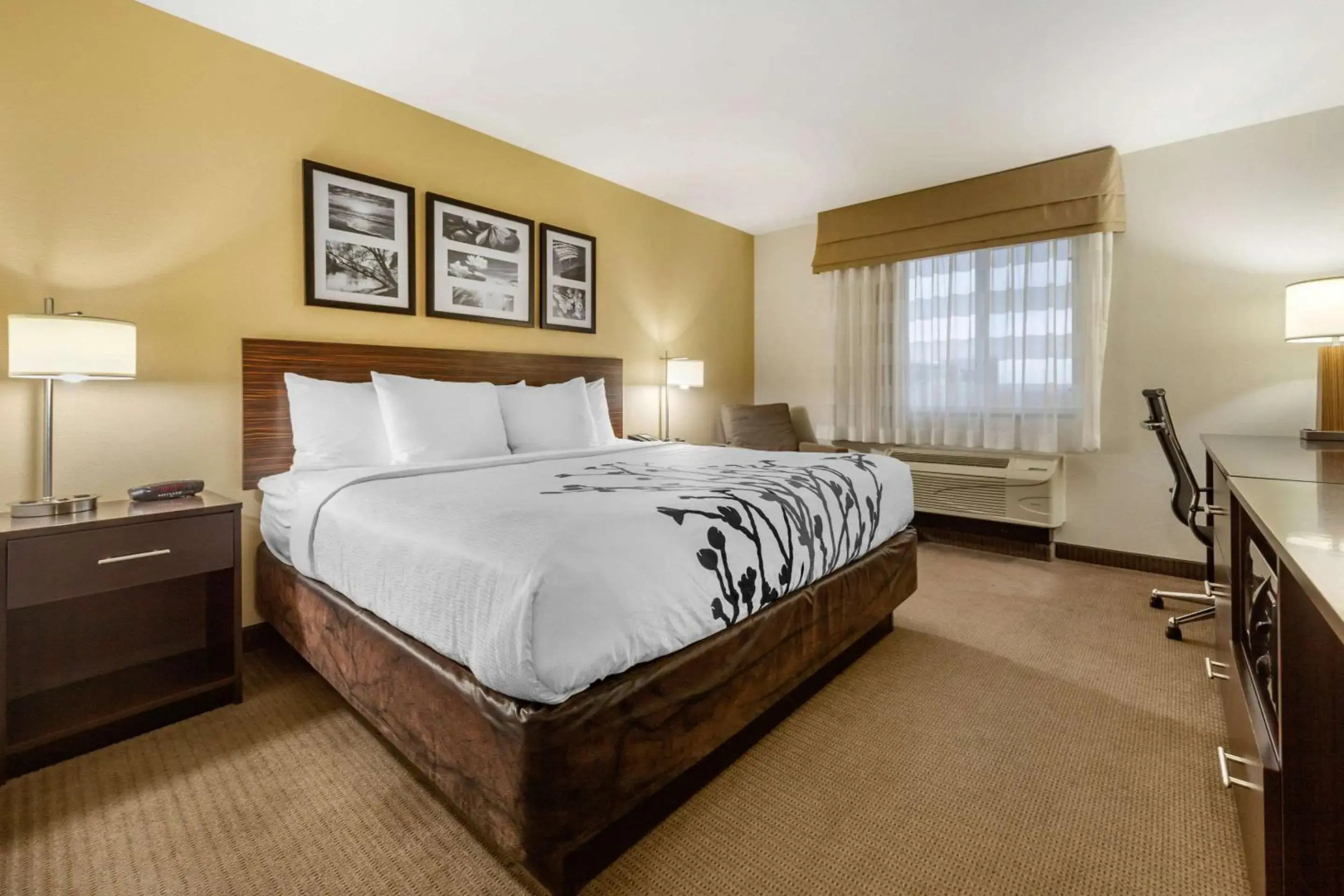 Sleep Inn & Suites Grand Forks Near Alerus Center