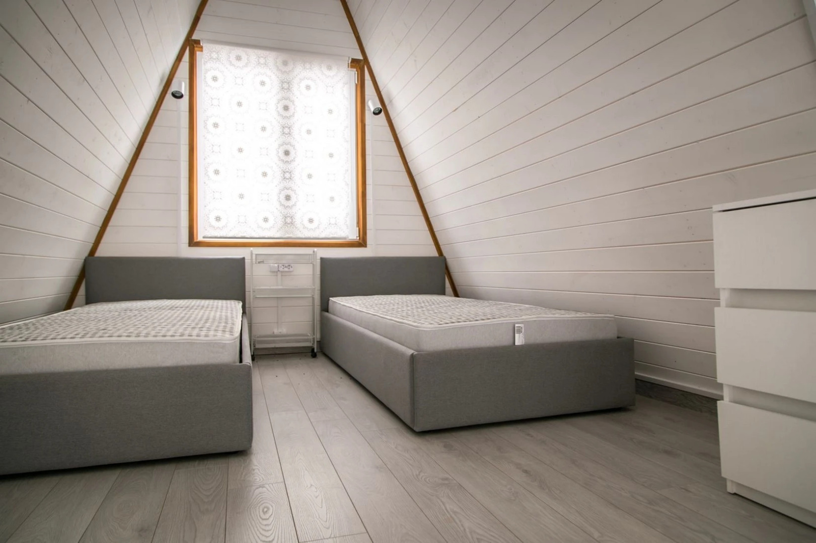 СвяДанио(Архыз)