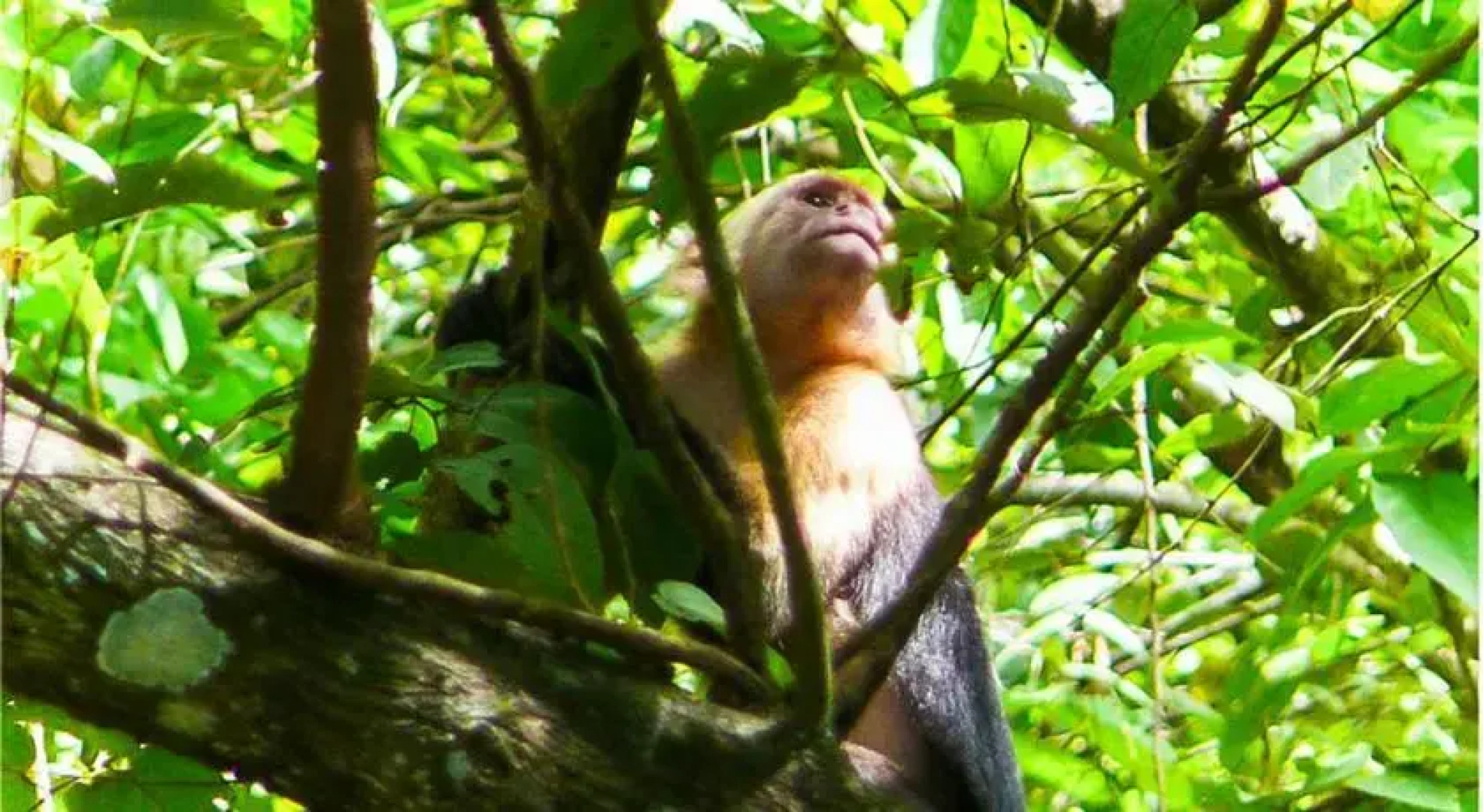 Dayka Complejo Turístico