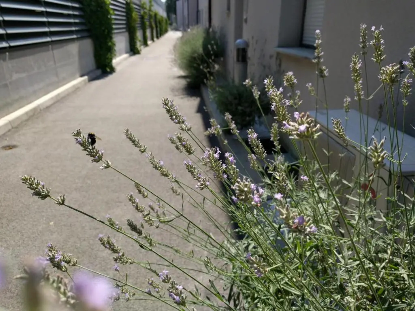 Jan's Place at Seaside