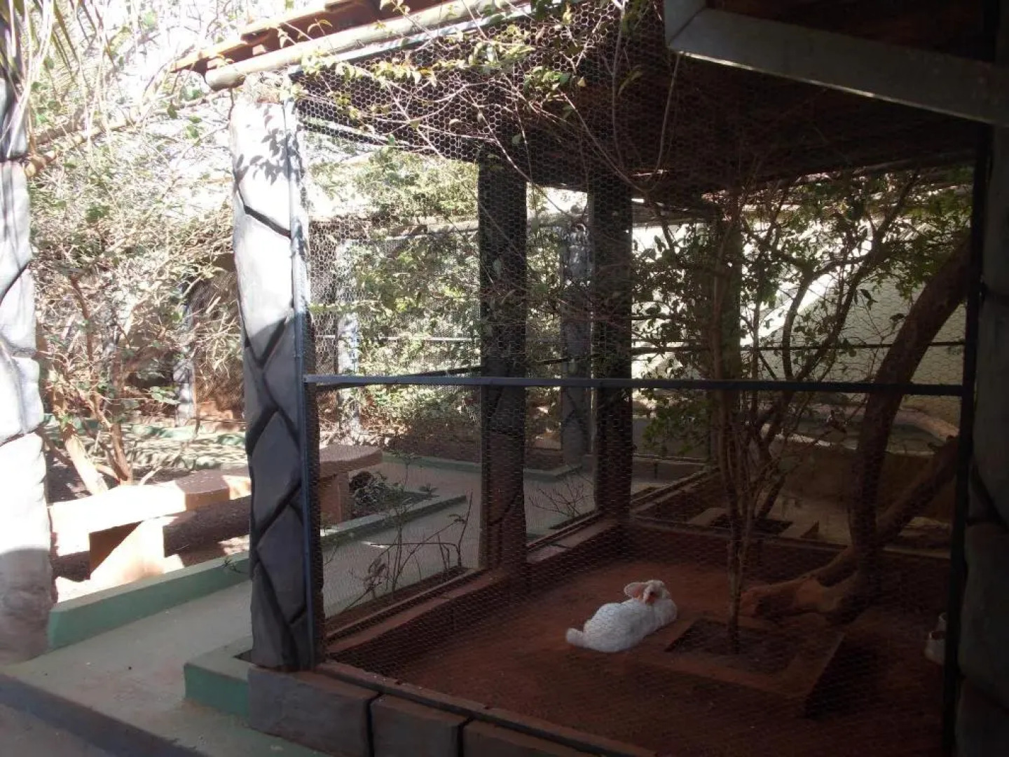 Pousada Aldeia das Flores