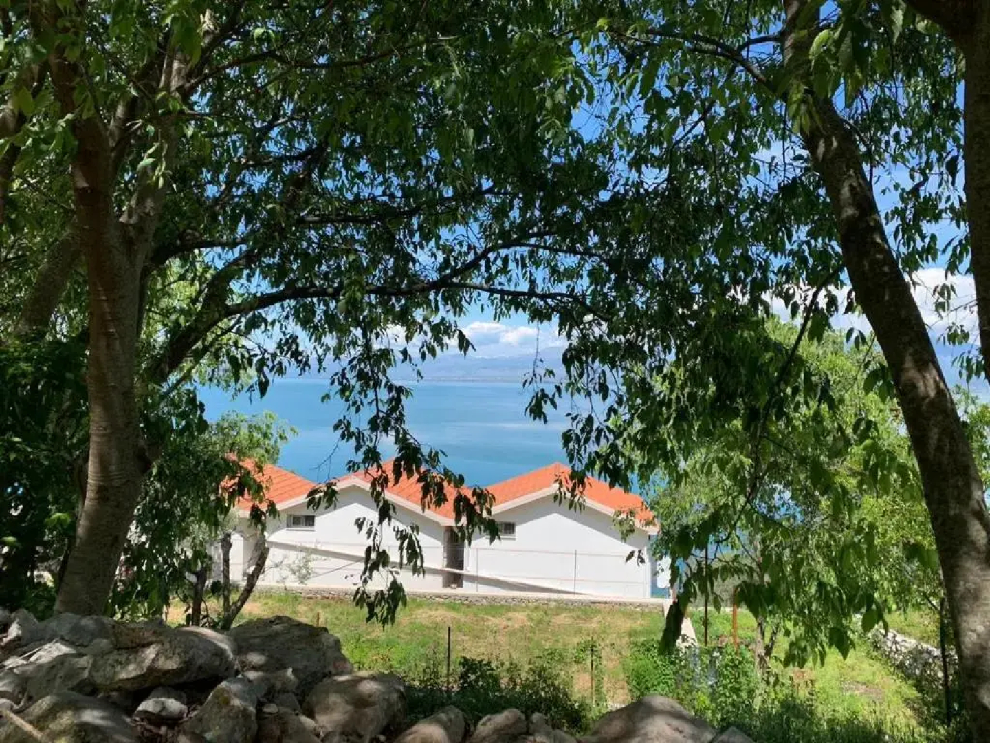 Vani i Bardhë