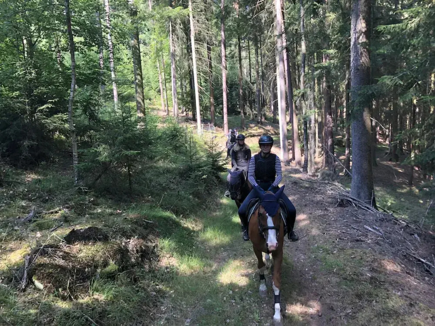 Pension & Reitschule Fuchsenhof